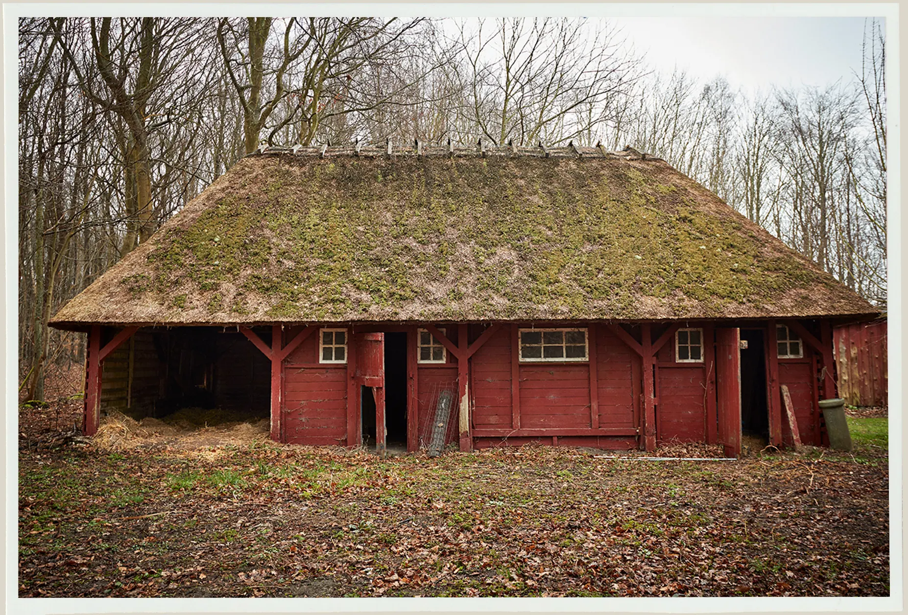 A small red historic forest building with a thatched roof.