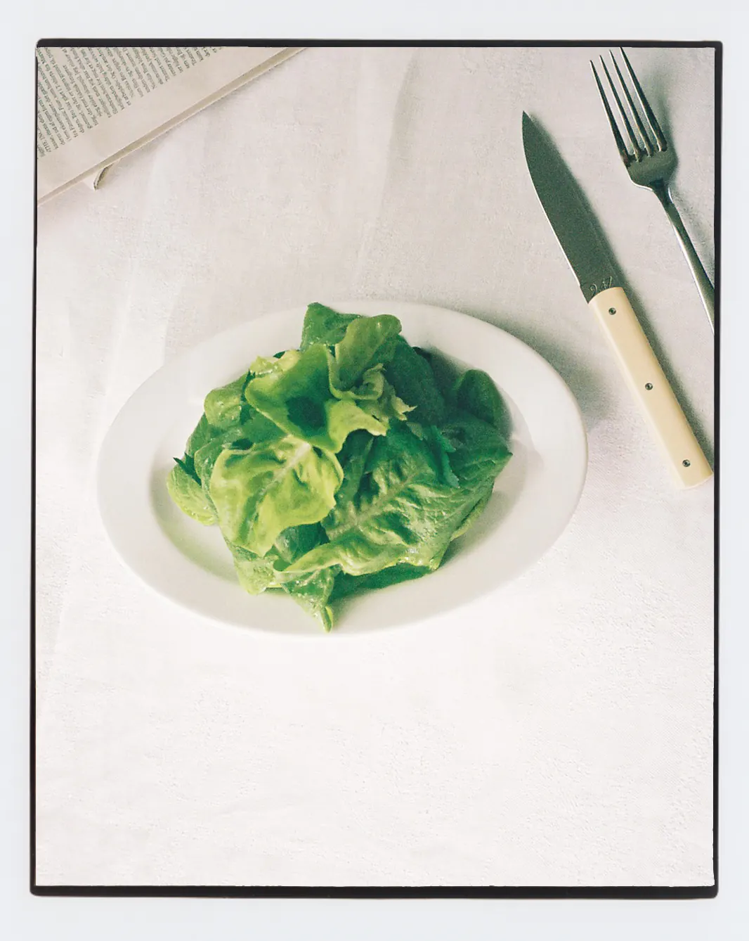 Green salad served on a white plate.