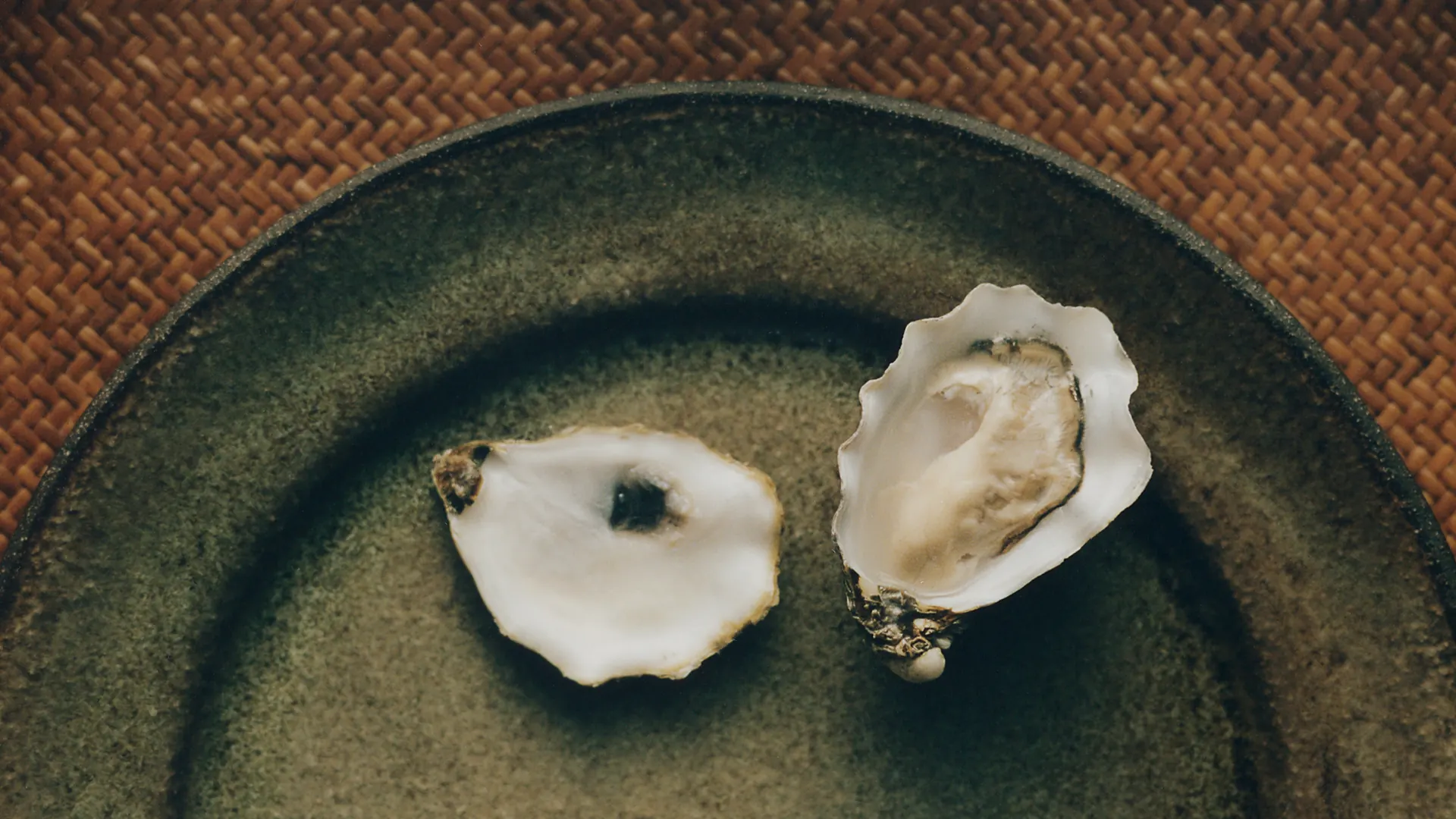 Oysters served on a dark plate.